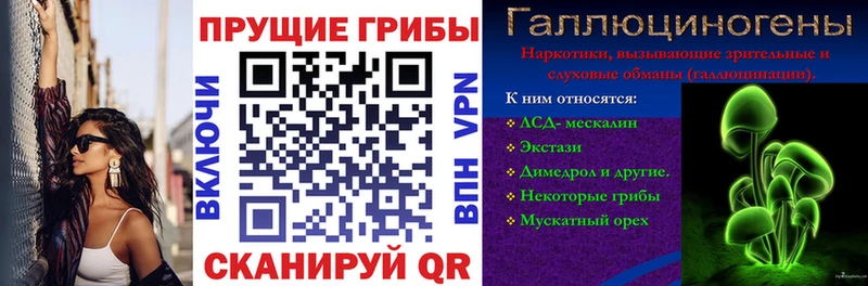 Галлюциногенные грибы Psilocybe  Алагир 